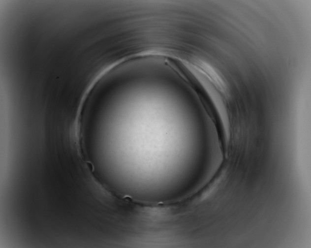 X0000092250900200709211059