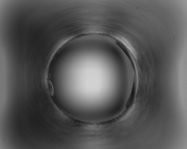 X0000092250901200709211059