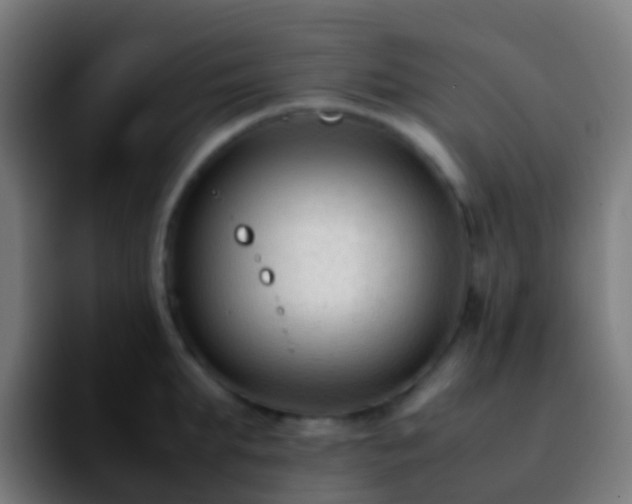 X0000092250903200709211059