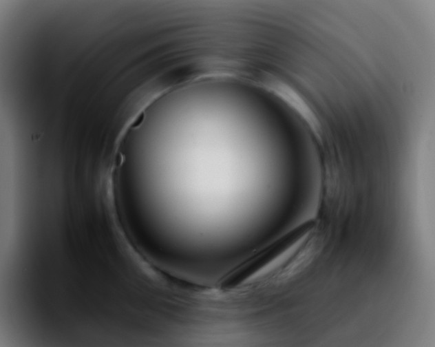 X0000092250906200709211059