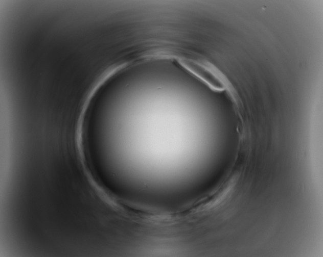 X0000092250909200709211059