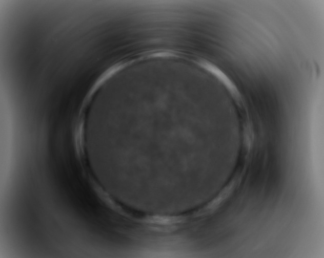 X0000092250910200709211059