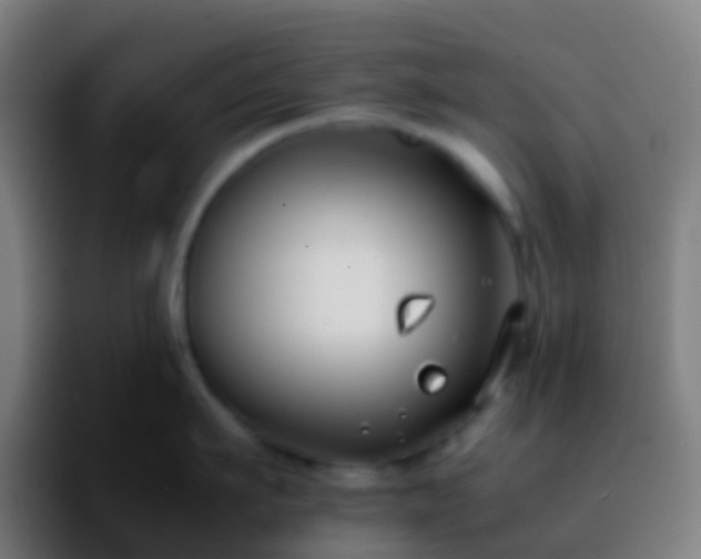 X0000092250911200709211059