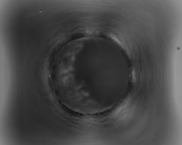 X0000092250913200709211058