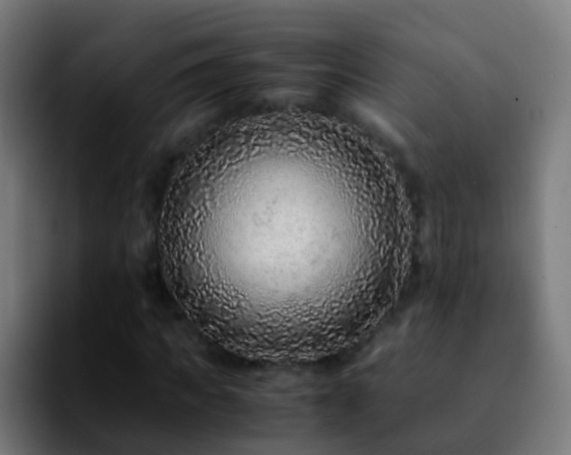 X0000092250917200709211058