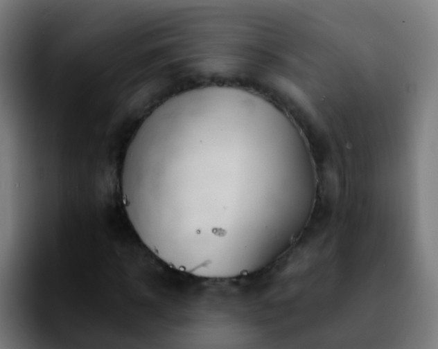 X0000092250918200709211058