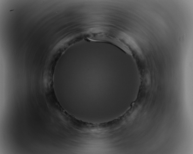 X0000092250920200709211058