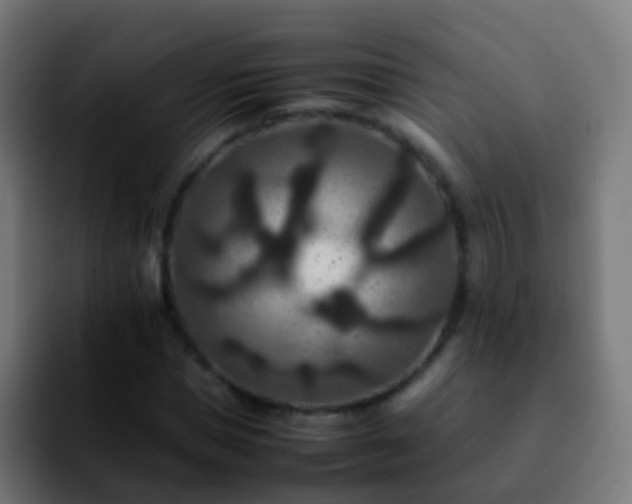 X0000092250921200709211058