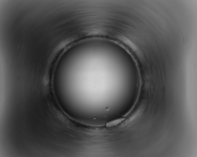 X0000092250922200709211058