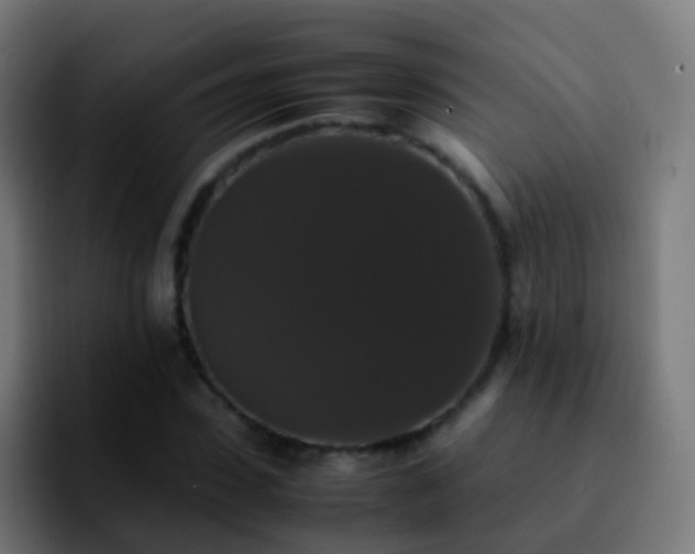 X0000092250923200709211058