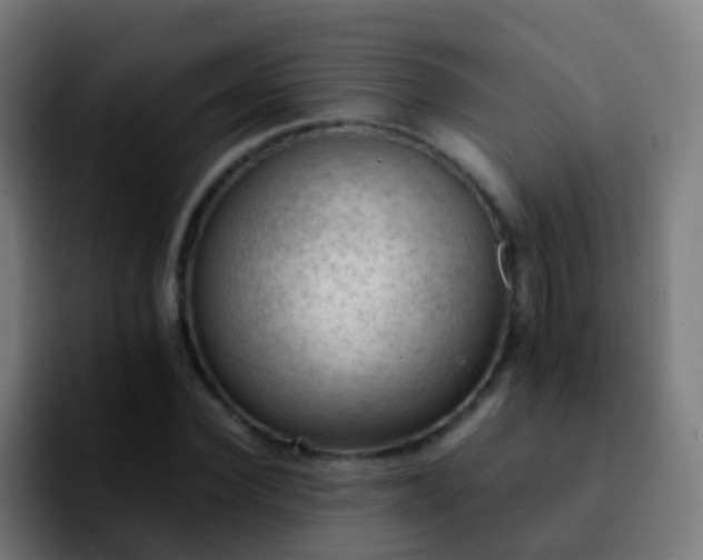 X0000092250924200709211058