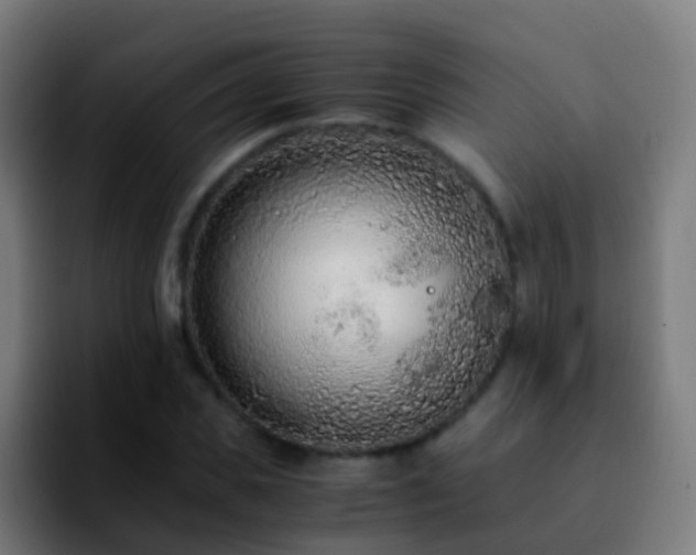 X0000092250925200709211058