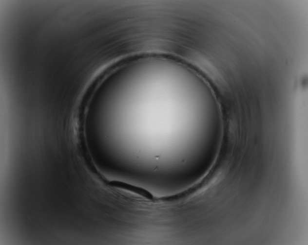 X0000092250926200709211058