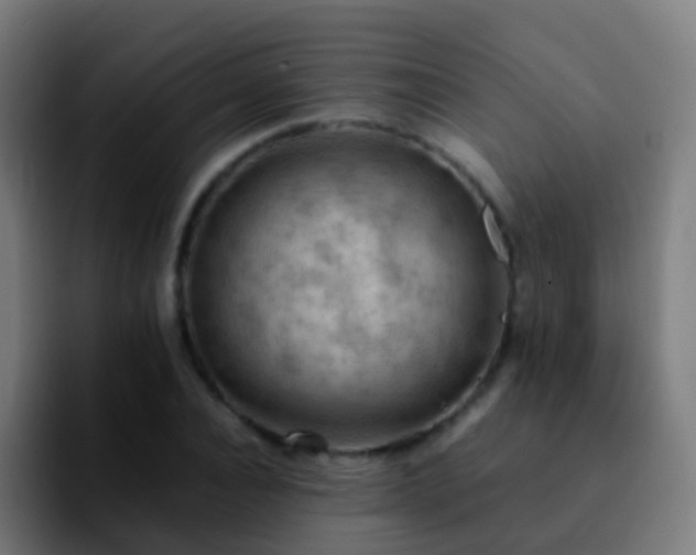 X0000092250928200709211059
