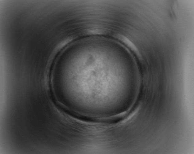 X0000092250930200709211059
