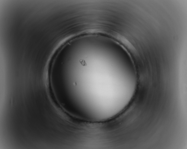 X0000092250934200709211059
