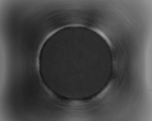 X0000092250935200709211059