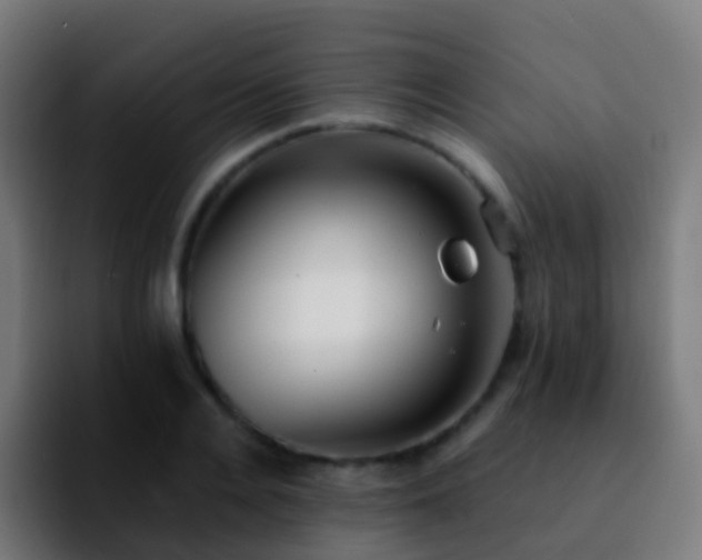 X0000092250936200709211059