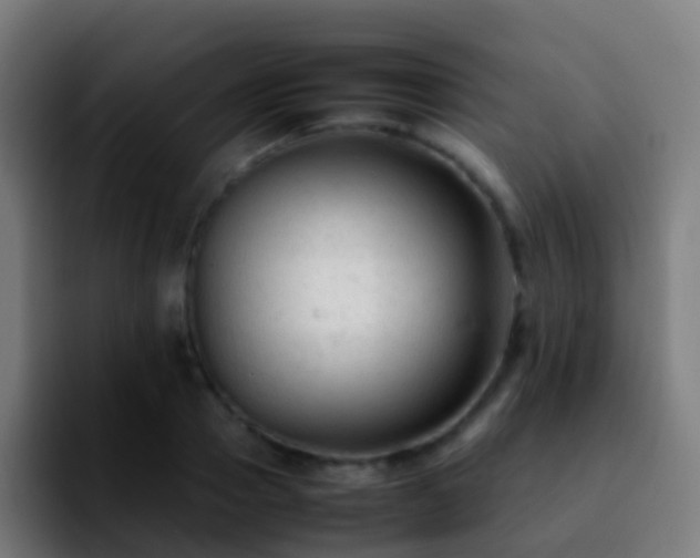 X0000092250937200709211059