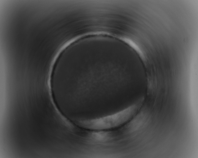 X0000092250943200709211059