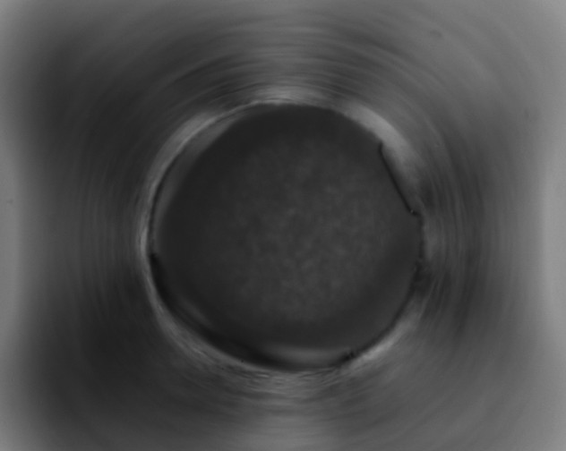 X0000092250946200709211059