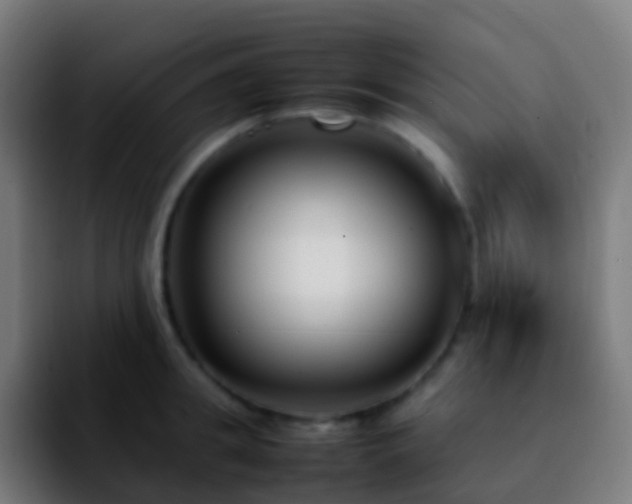 X0000092250949200709211059