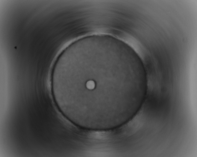 X0000092250950200709211059