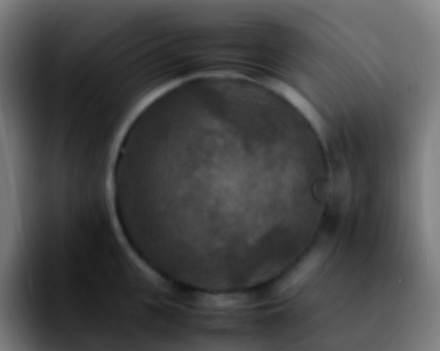 X0000092250951200709211059