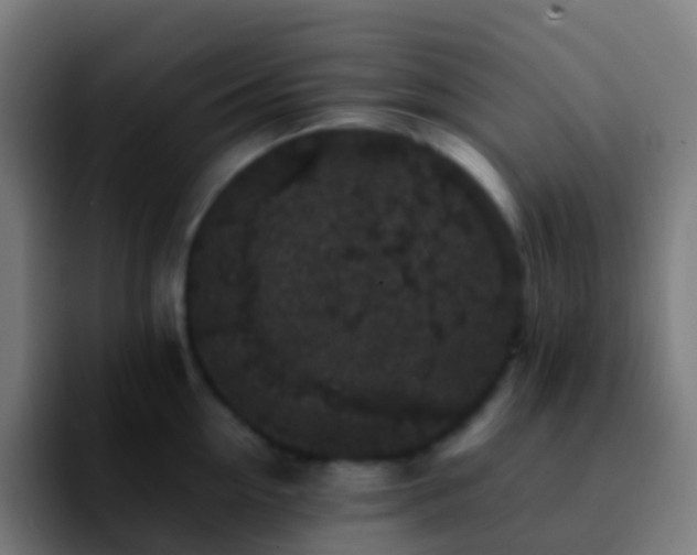 X0000092250954200709211059