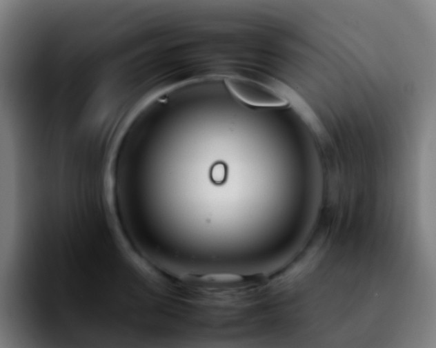 X0000092250955200709211059