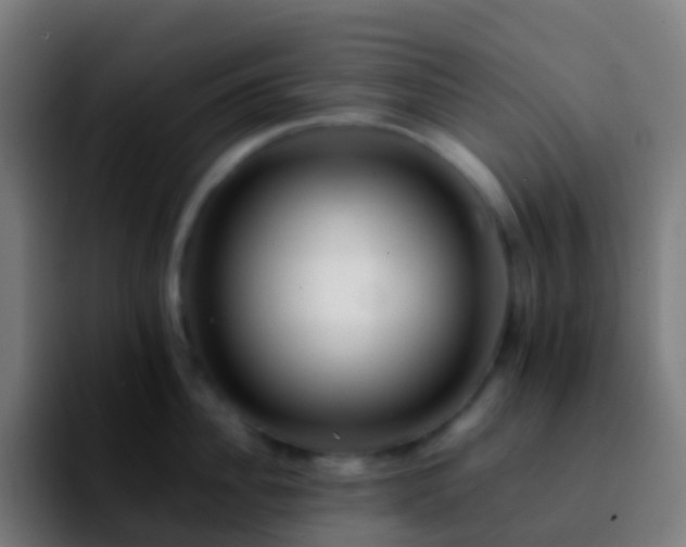 X0000092250956200709211059