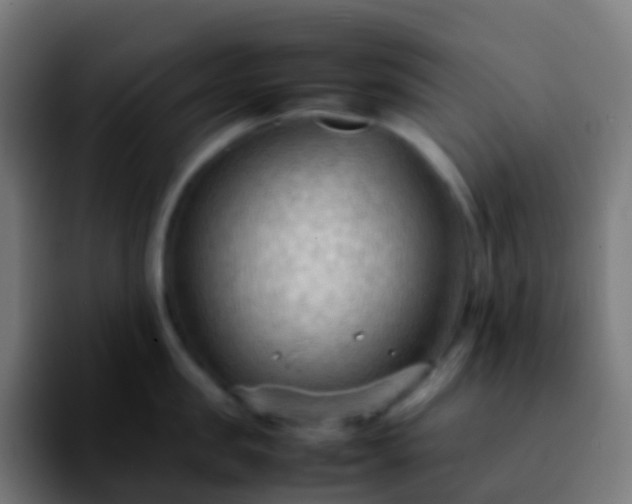 X0000092250957200709211059