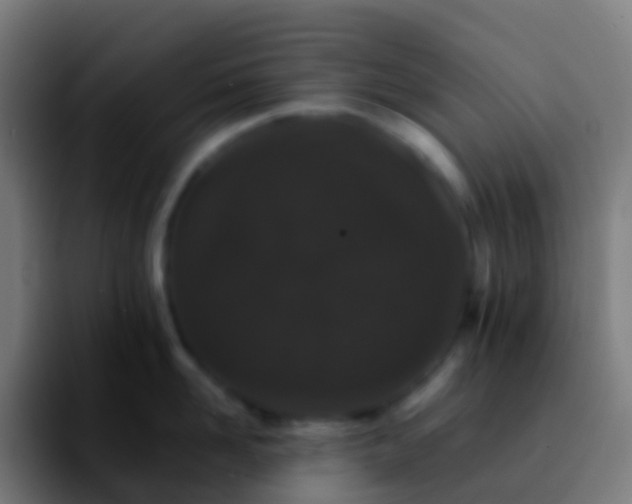 X0000092250958200709211059