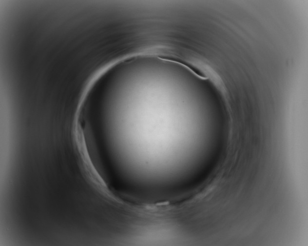 X0000092250960200709211059