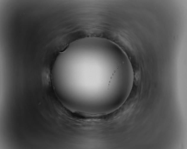X0000092250963200709211058