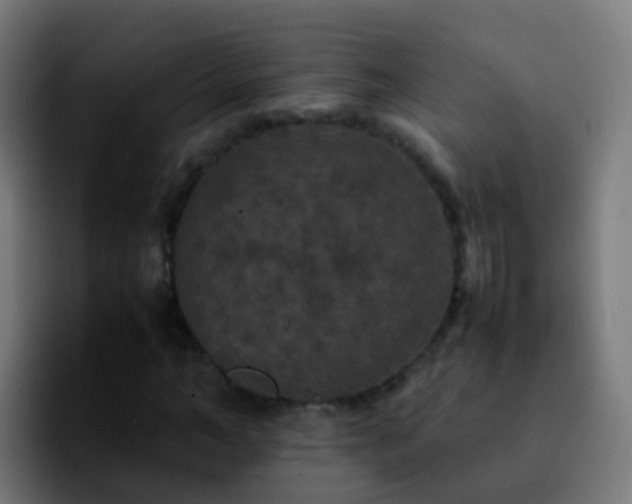 X0000092250966200709211058