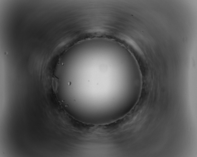 X0000092250967200709211058
