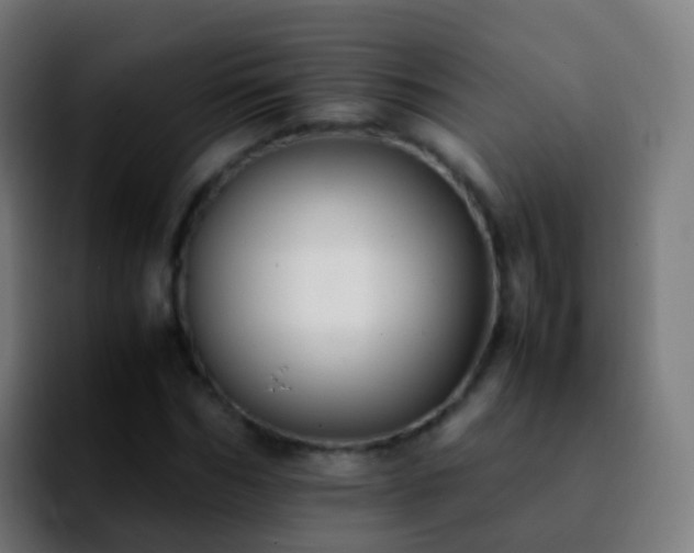 X0000092250970200709211058