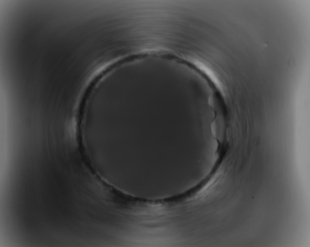 X0000092250975200709211058