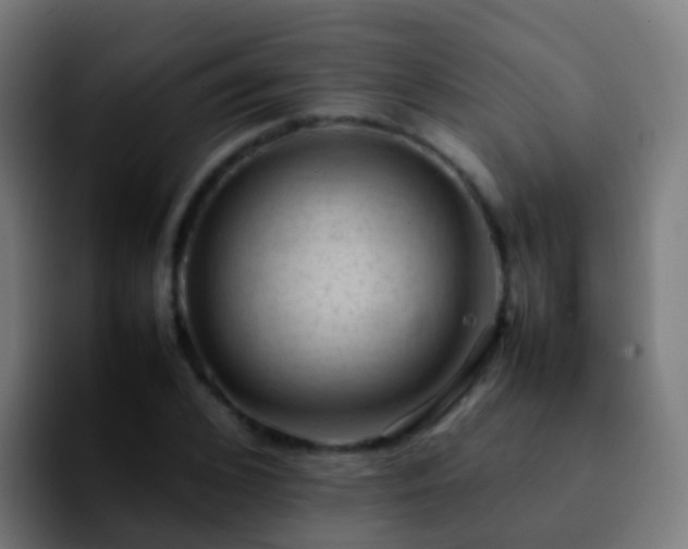 X0000092250976200709211058