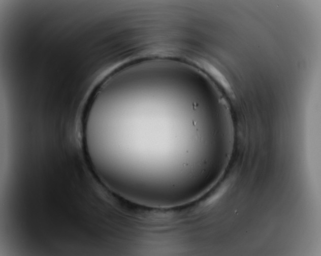 X0000092250981200709211058
