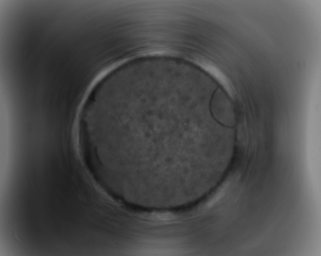 X0000092250983200709211058