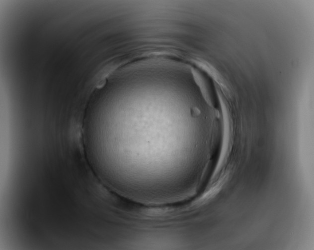 X0000092250985200709211058
