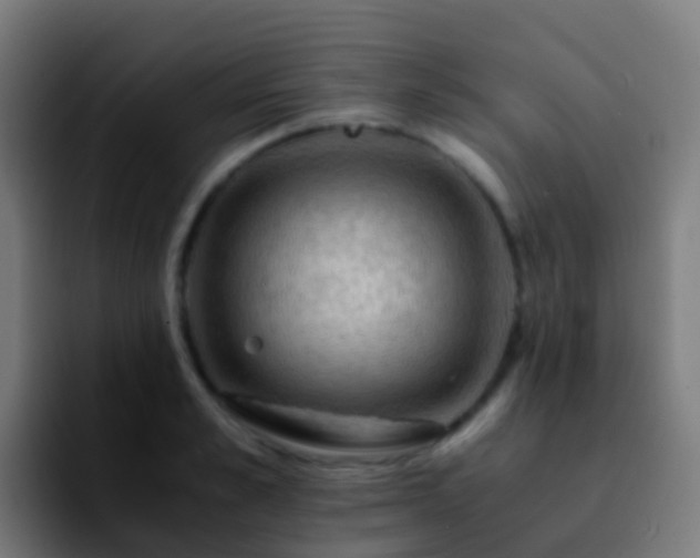 X0000092250989200709211058