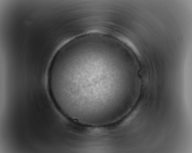 X0000092250991200709211058