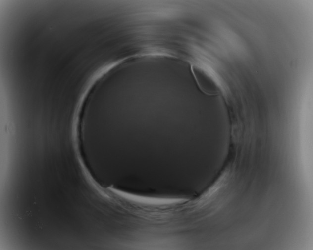 X0000092250995200709211058