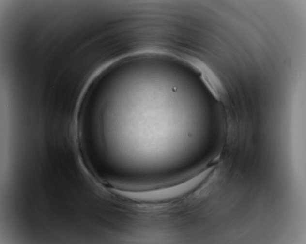X0000092250996200709211058