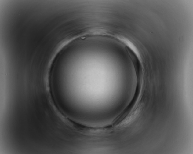 X0000092250997200709211058
