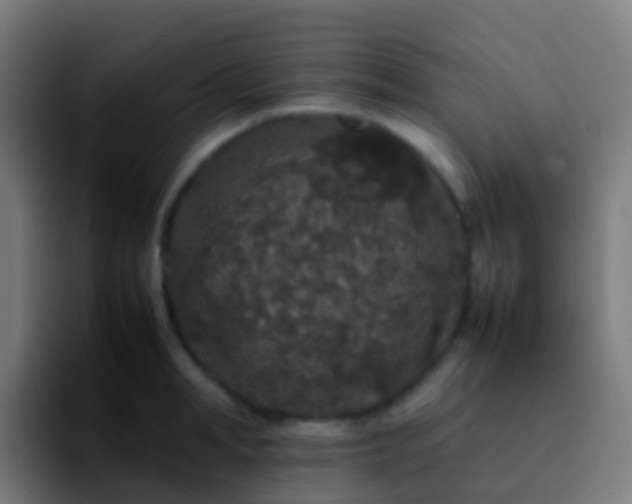 X0000092250998200709211058