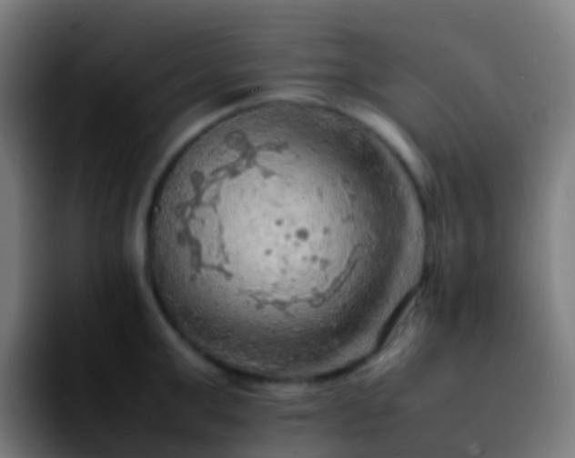 X0000092250999200709211058